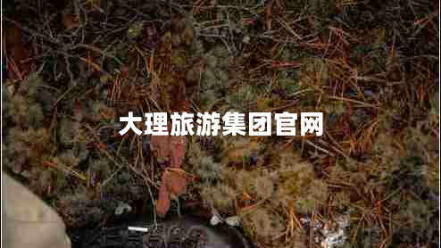 大理旅游集團官網(wǎng)