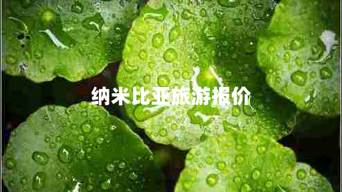 納米比亞旅游報價(jià)