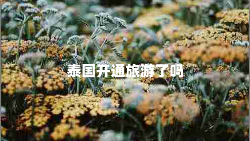 泰國開(kāi)通旅游了嗎