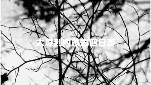 太原到內蒙古四日游