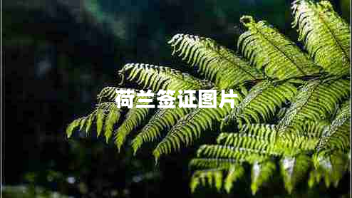 荷蘭簽證圖片