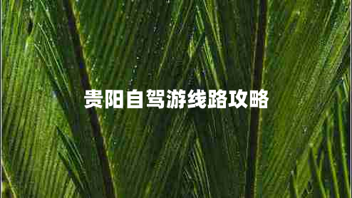 貴陽(yáng)自駕游線(xiàn)路攻略