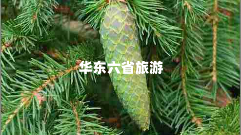 華東六省旅游