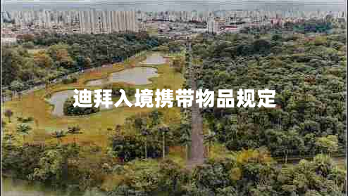 迪拜入境攜帶物品規定