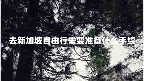 去新加坡自由行需要準備什么手續