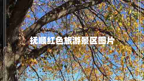 撫順紅色旅游景區圖片