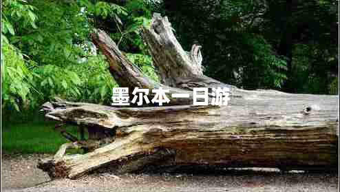 墨爾本一日游