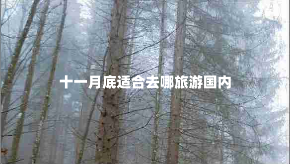 十一月底適合去哪旅游國內