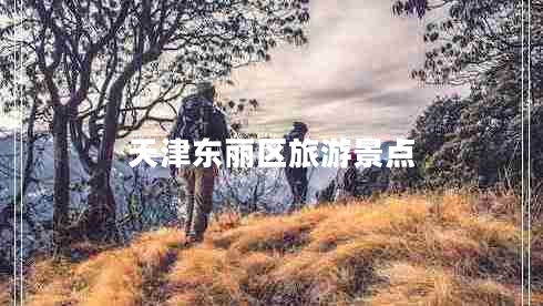 天津東麗區旅游景點(diǎn)