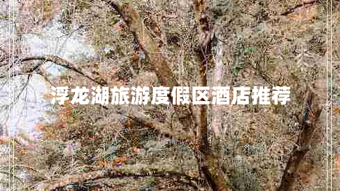 浮龍湖旅游度假區酒店推薦