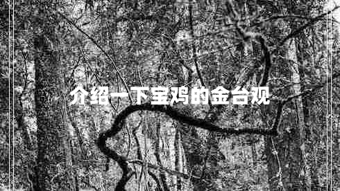 介紹一下寶雞的金臺觀(guān)