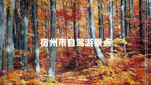 宿州市自駕游景點(diǎn)