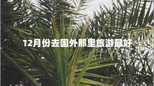 12月份去國外那里旅游最好