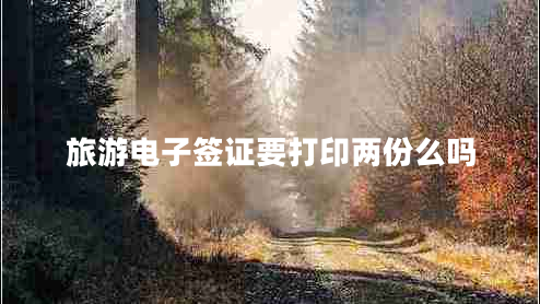 旅游電子簽證要打印兩份么嗎