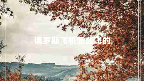 俄羅斯飛機怎么飛的