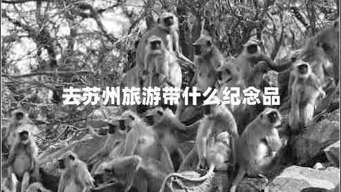 去蘇州旅游帶什么紀念品