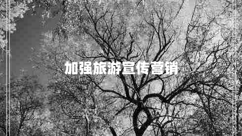 加強旅游宣傳營銷