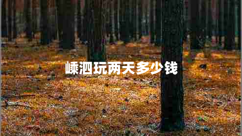 嵊泗玩兩天多少錢(qián)