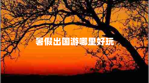 暑假出國游哪里好玩