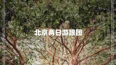 北京兩日游跟團