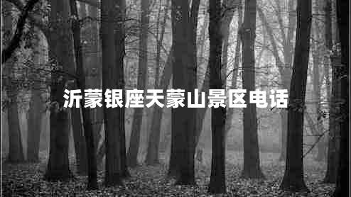 沂蒙銀座天蒙山景區電話(huà)
