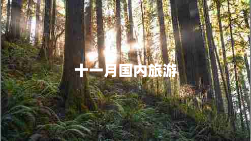 十一月國內旅游