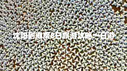 沈陽(yáng)到湖南8日旅游攻略一日游