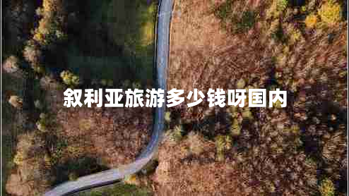 敘利亞旅游多少錢(qián)呀國內