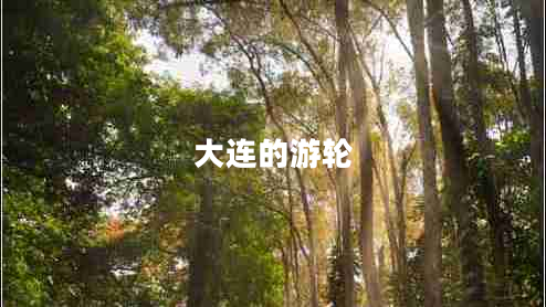 大連的游輪