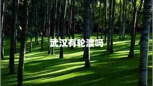 武漢有輪渡嗎