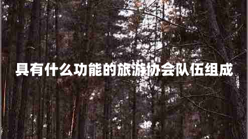 具有什么功能的旅游協(xié)會(huì )隊伍組成