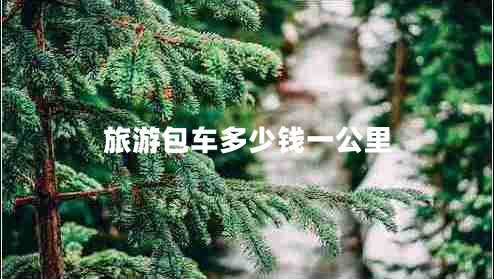 旅游包車(chē)多少錢(qián)一公里