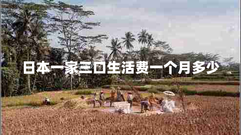 日本一家三口生活費一個(gè)月多少