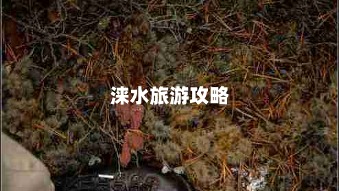 淶水旅游攻略