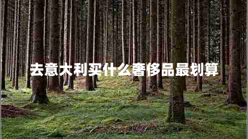 去意大利買(mǎi)什么奢侈品最劃算