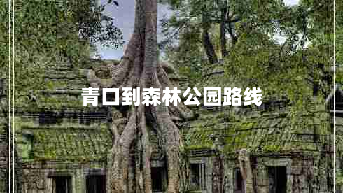 青口到森林公園路線(xiàn)
