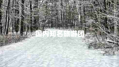 國內知名旅游團