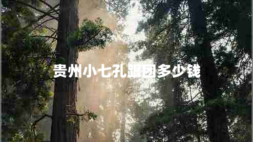 貴州小七孔跟團多少錢(qián)