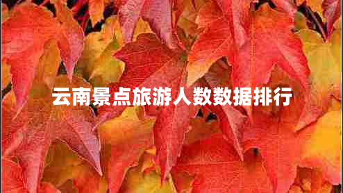 云南景點(diǎn)旅游人數數據排行