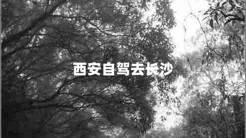 西安自駕去長(cháng)沙