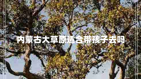 內蒙古大草原適合帶孩子去嗎