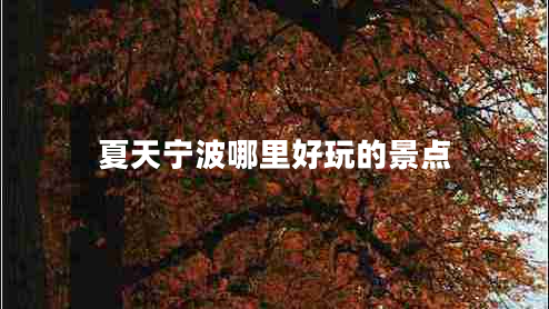 夏天寧波哪里好玩的景點(diǎn)