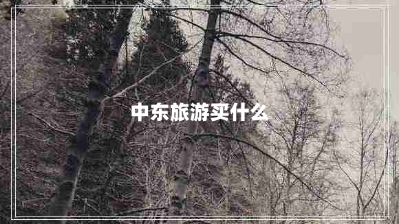 中東旅游買(mǎi)什么