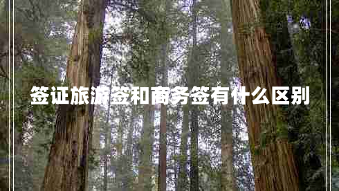 簽證旅游簽和商務(wù)簽有什么區別