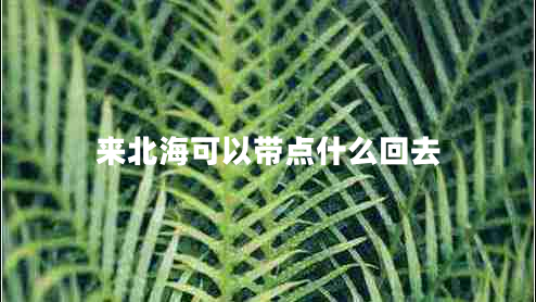 來(lái)北海可以帶點(diǎn)什么回去