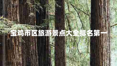 寶雞市區旅游景點(diǎn)大全排名第一