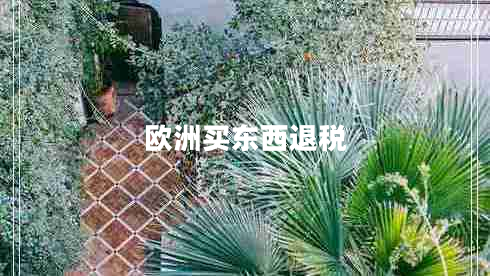 歐洲買(mǎi)東西退稅