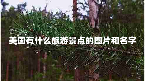 美國有什么旅游景點(diǎn)的圖片和名字