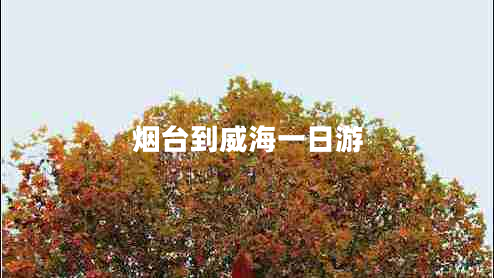 煙臺到威海一日游