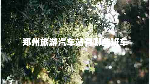 鄭州旅游汽車(chē)站有哪些班車(chē)
